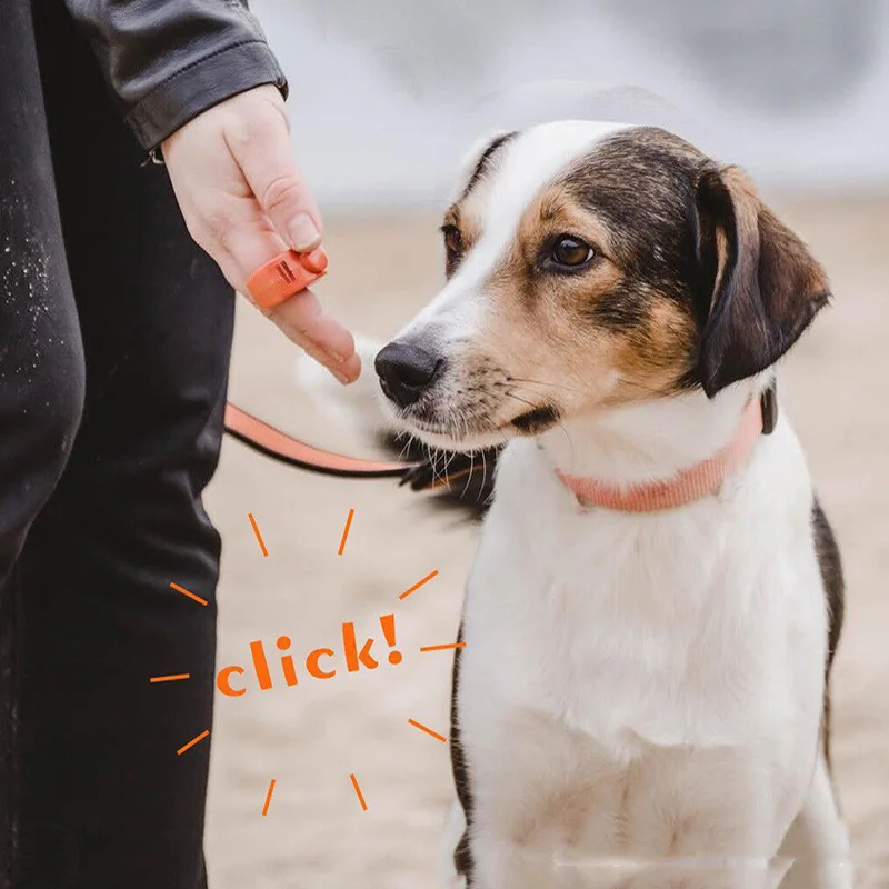 Thumbnail 4 - #38 Pet Training Clicker List of Top Picks