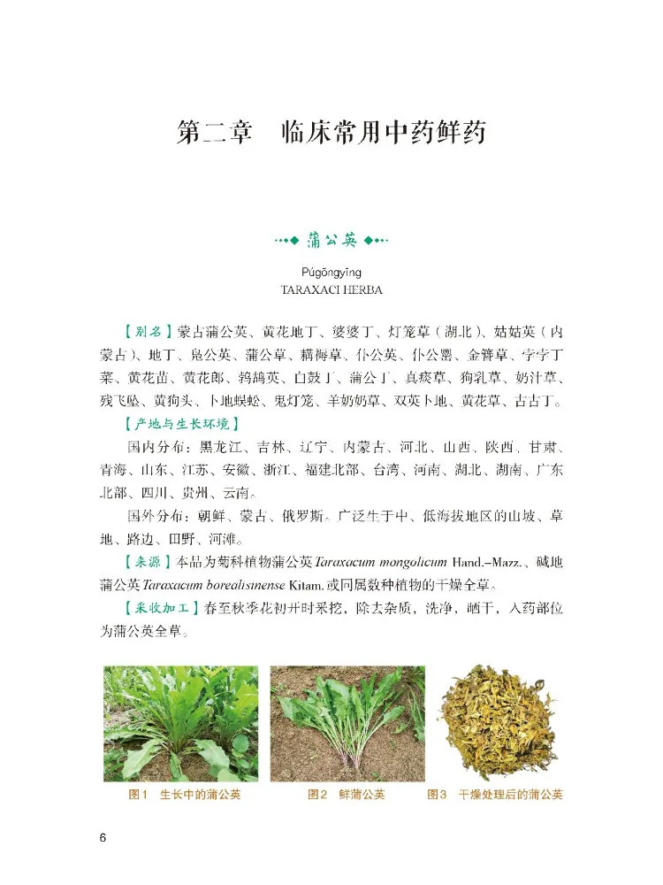 Book-Winshare Treatment Of Refractory Diseases With Fresh Chinese Herbal Medicines