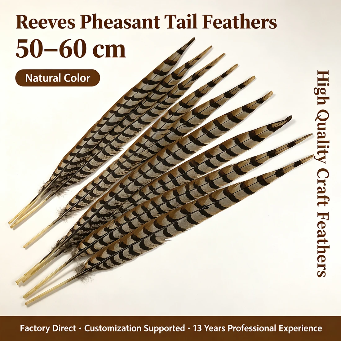Natural Reeves Pheasant Feathers 50-60cm Long for Home Decor 20-24 Inch Natural Plumes for Craft And Art Supplies