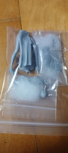 Buyer photo of this resin kit