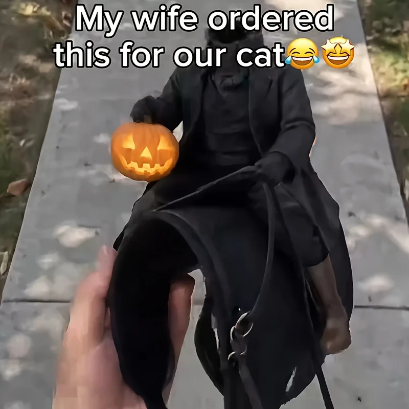Halloween Pet Costume, 3D Illusion Headless Rider Riding Outfit with Pumpkin Lantern, Funny Cosplay Clothes for Cats Small Dogs