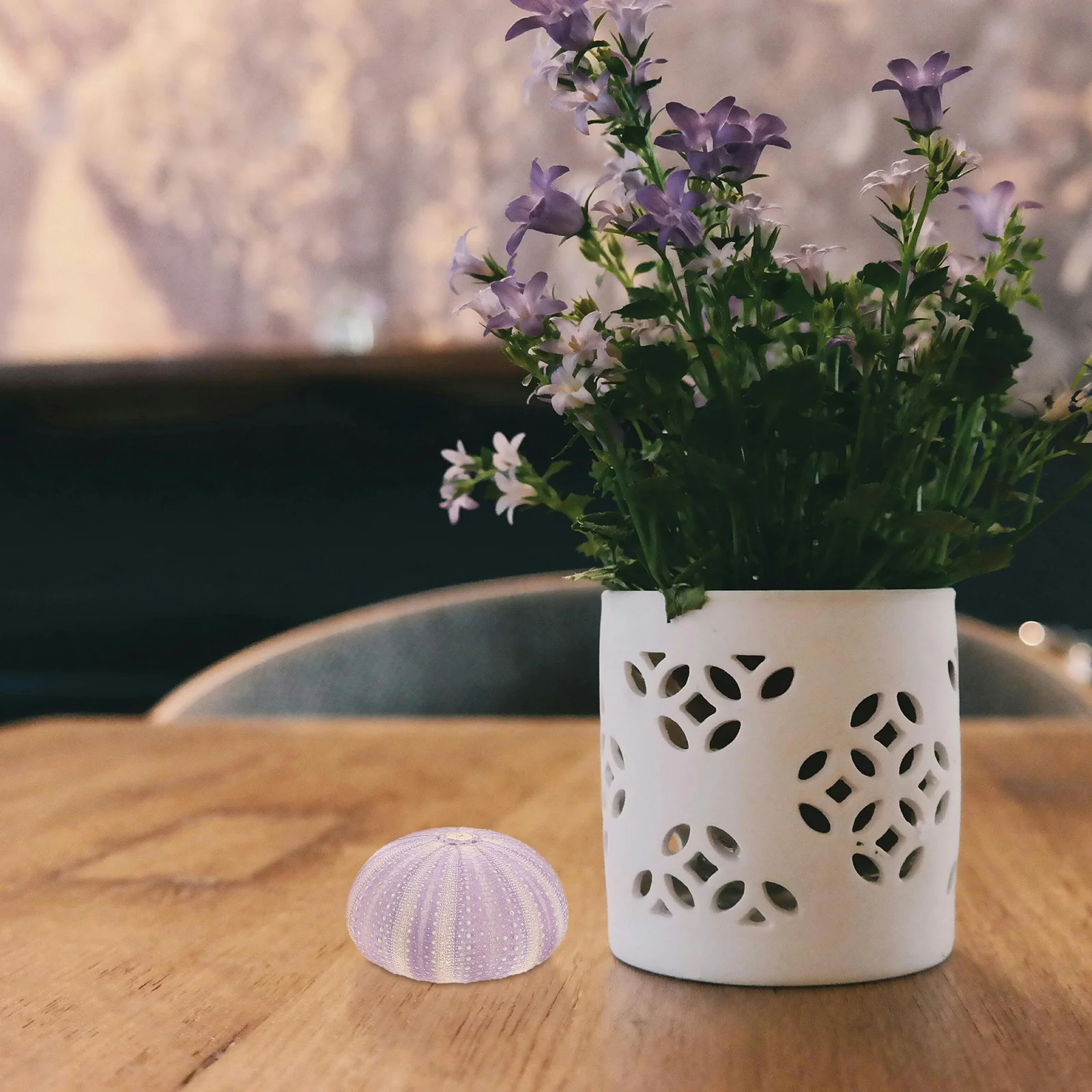 3 pcs Natural Dried Sea Urchin Shell Unique Small Planting Holder Air Planting Pot Desktop Ornament Decorative Craft For Home view 2