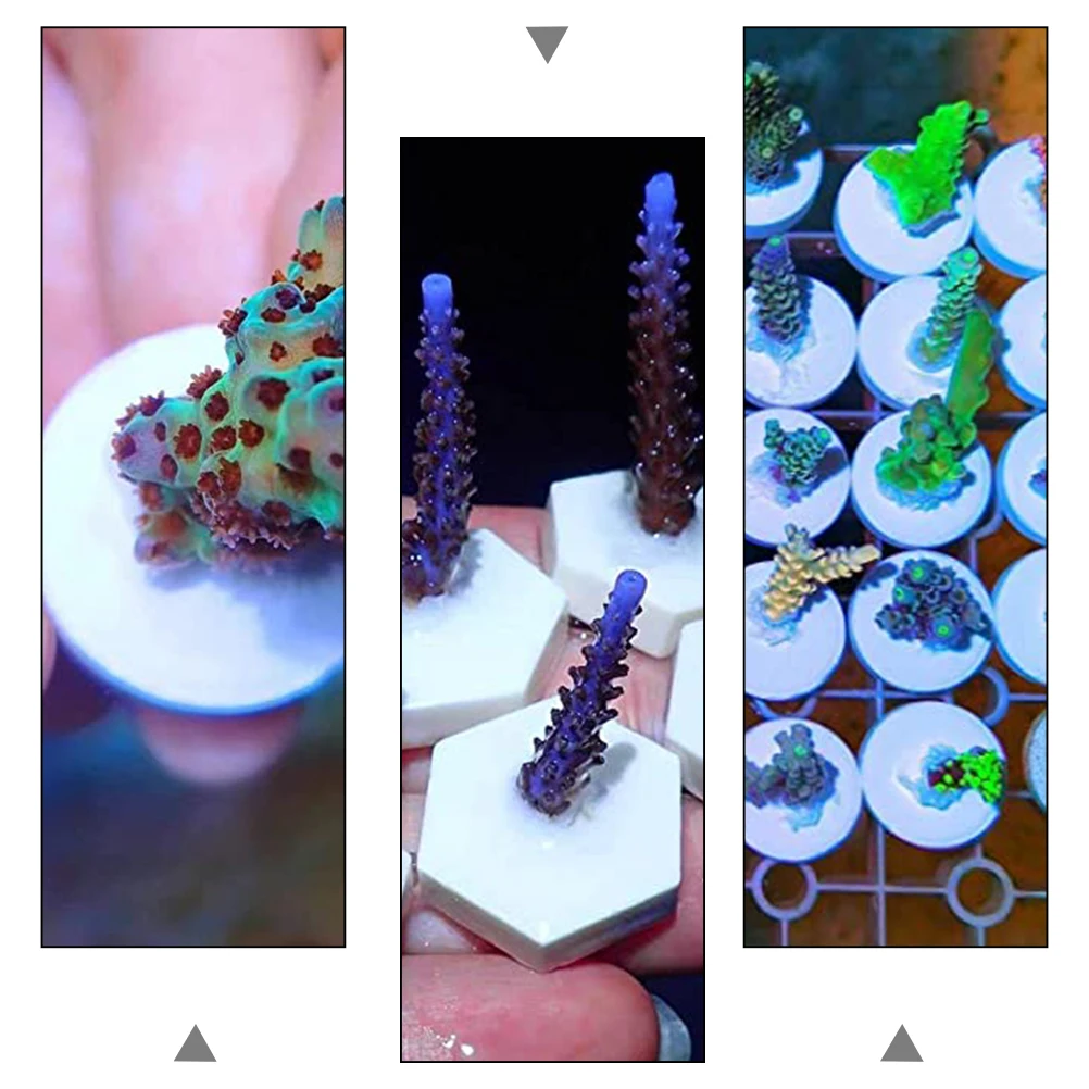 

30 Pcs Fish Tank Ornaments Holder Decorative Stand Decorations Ceramic Coral Breeding Bases Aquarium