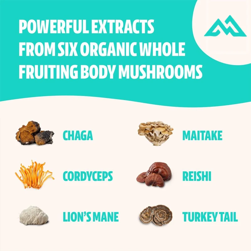 Mushroom Complex - Lion Mane, Ganoderma lucidum, Cordyceps sinensis and other immune support and puzzle brain supplements