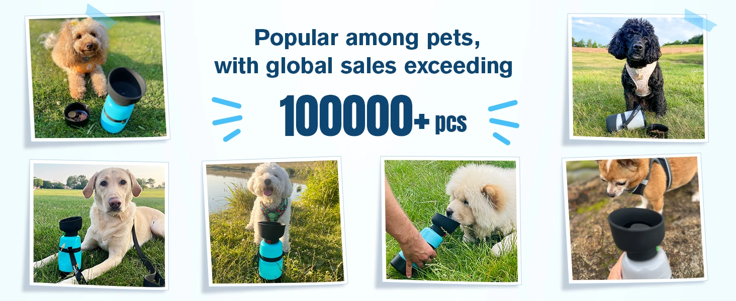 2-in-1 Dog Travel Water Bottle & Food Container – 650ml