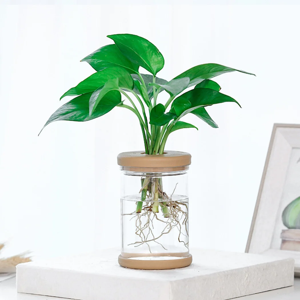 2PCS Plant Pots Transparent pot Automatic water-absorbing flowerpot Imitation glass Small potted plants High quality