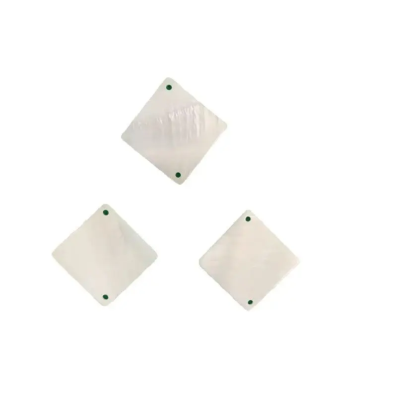 10 PCS 2 holes Natural White Square Shell Mother of Pearl 20mm 25mm Crafts Making DIY