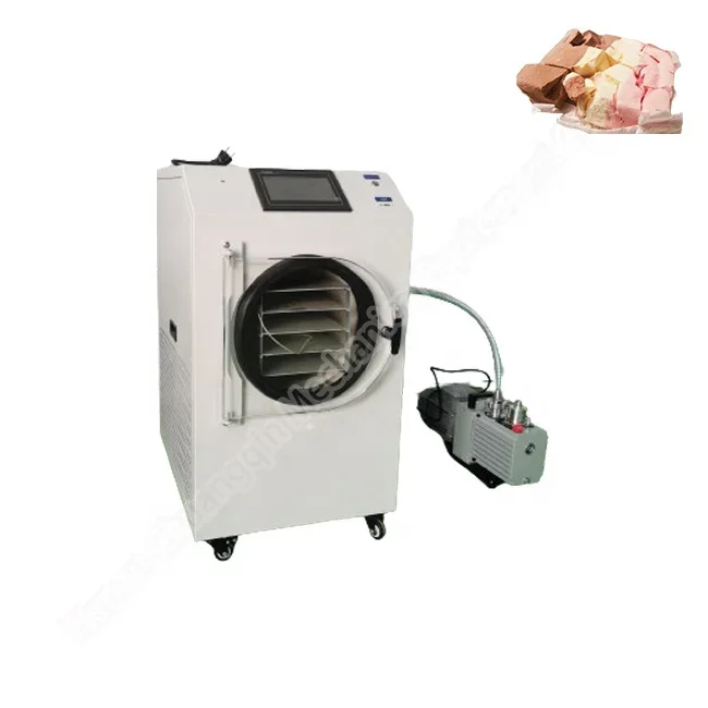 Commercial free ze drying machine Home Small Mini Vacuum Free ze Dryers Lyophilizer for Sale