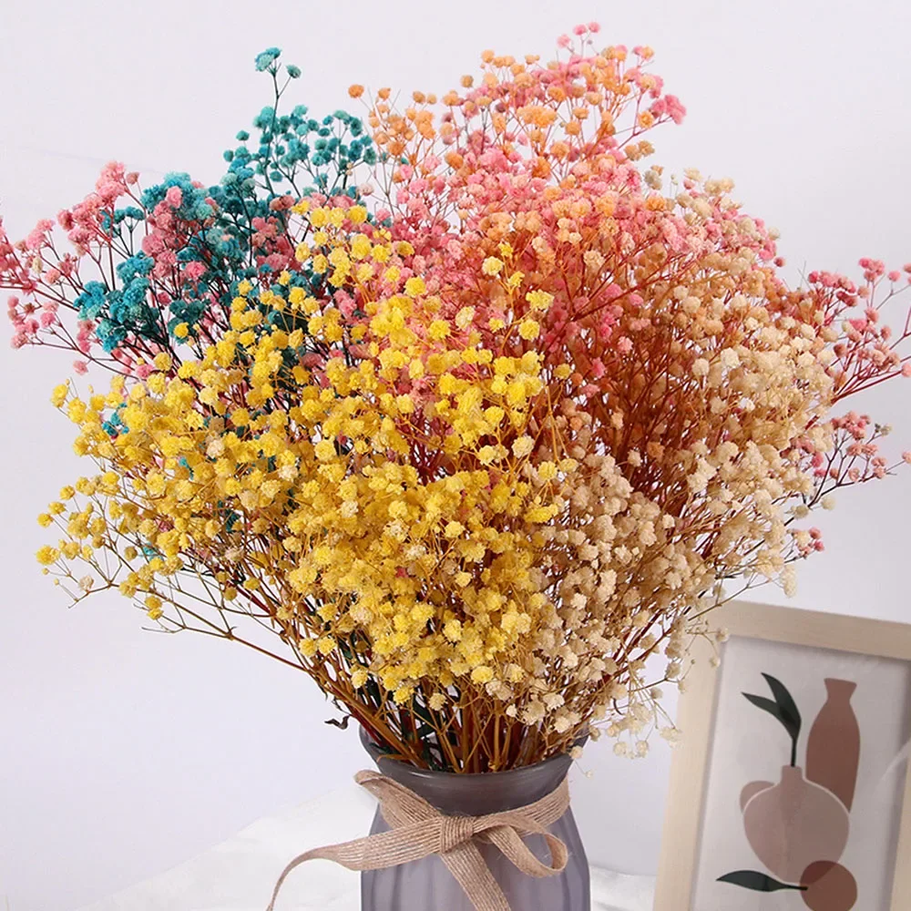 

120g Natural Gypsophile Dried Flowers Bouquet Wedding Decoration Arrangement Baby Breath Preserved Plants Hoom Christmas Decor