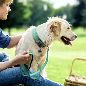 Padded Reflective Dog Collar 6