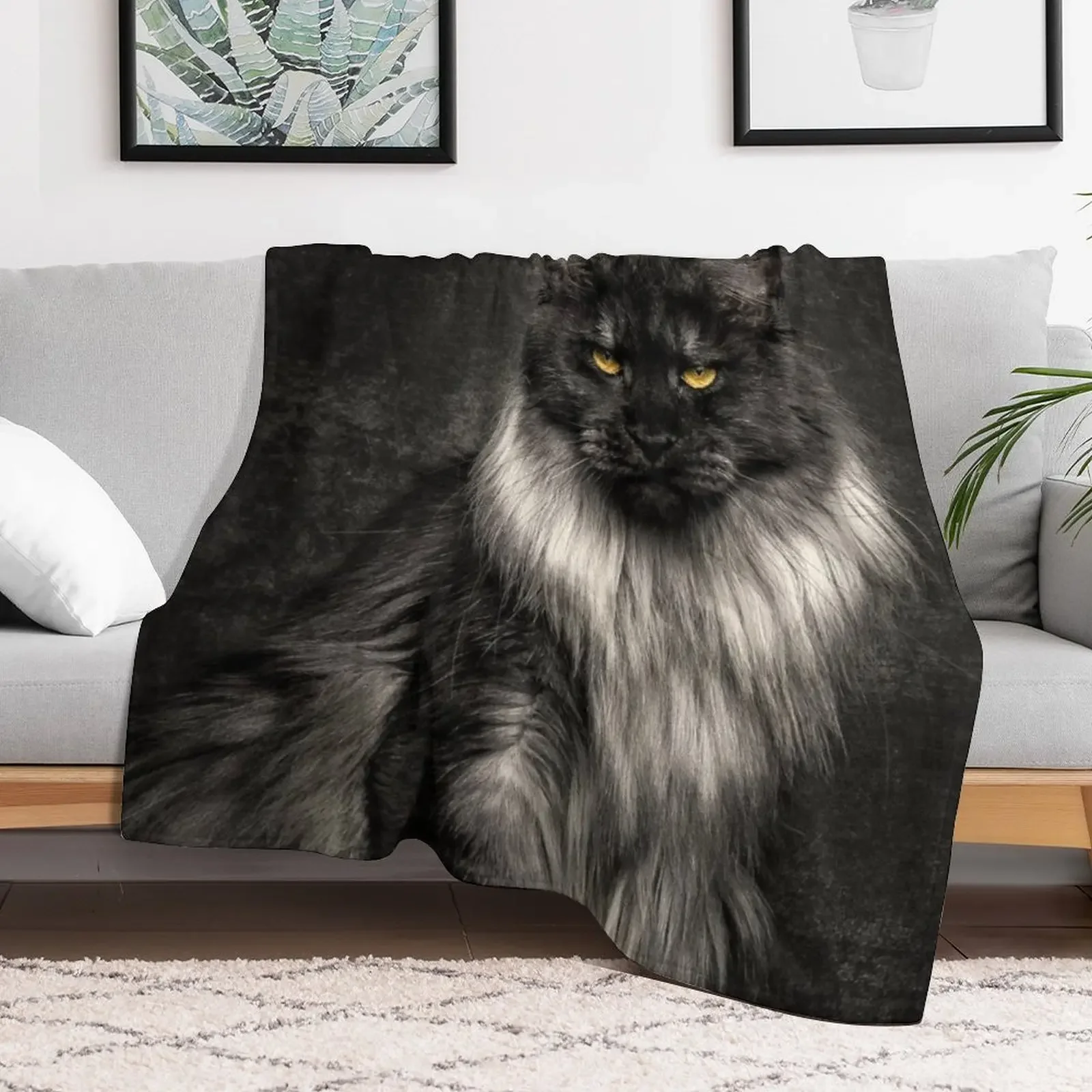 Silver Maine Coon Cat Portrait Throw Blanket Blankets Sofas Of Decoration Sofa Blankets