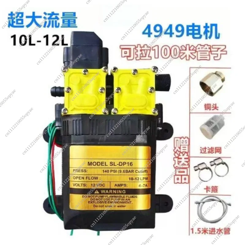 12v Double Head Diaphragm Water Pump Electric Water Sprayer Pump High Pressure Sprayer Car Wash Spraying Water Pump - view 4