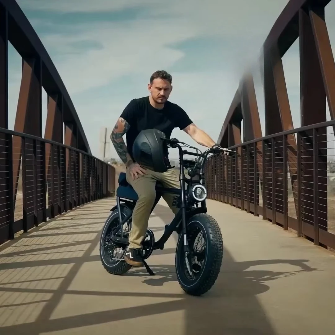 

SXLL Factory direct sales price 48V 18Ah 1000W electric bicycle fat tire electric bicycle 20 inch powerful mountain electric hyb