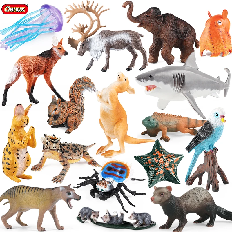 Oenux Zoo Forest Animals Model Wolf Deer Kangaroo Whale Starfish Parrot Action Figures Cake Topper Decoration Kids Education Toy