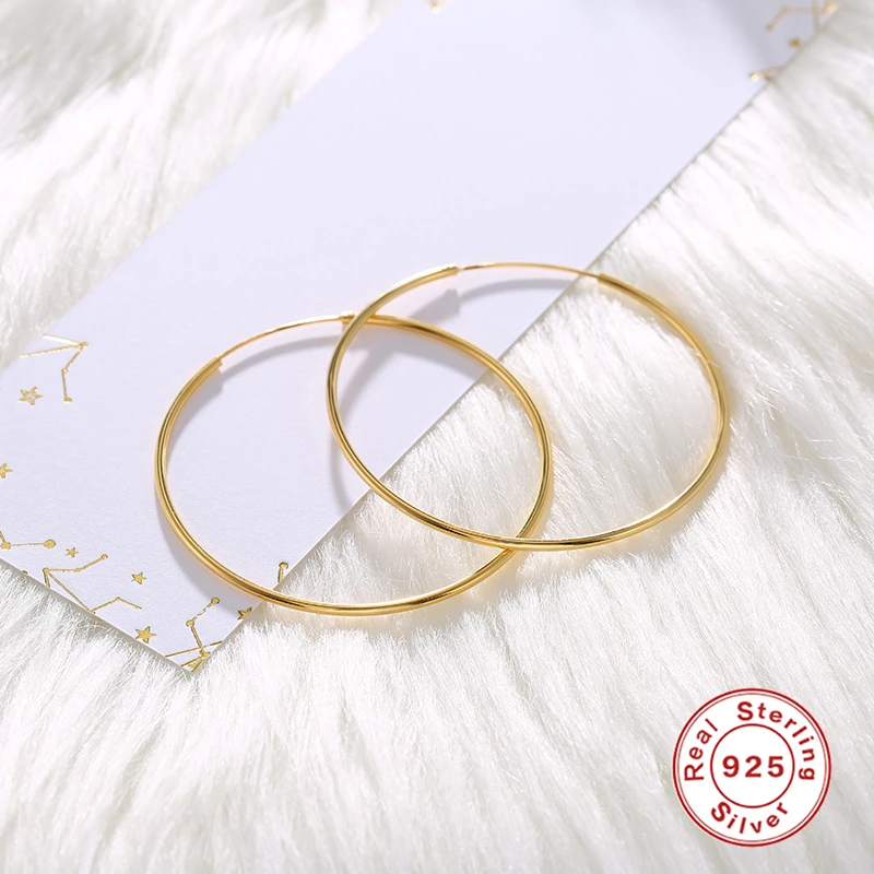 ROXI Minimalism Thin Round Hoop Earrings For Women 925 Sterling Silver Earrings Jewelry Big Hoop Pendientes Plata 925 Earring