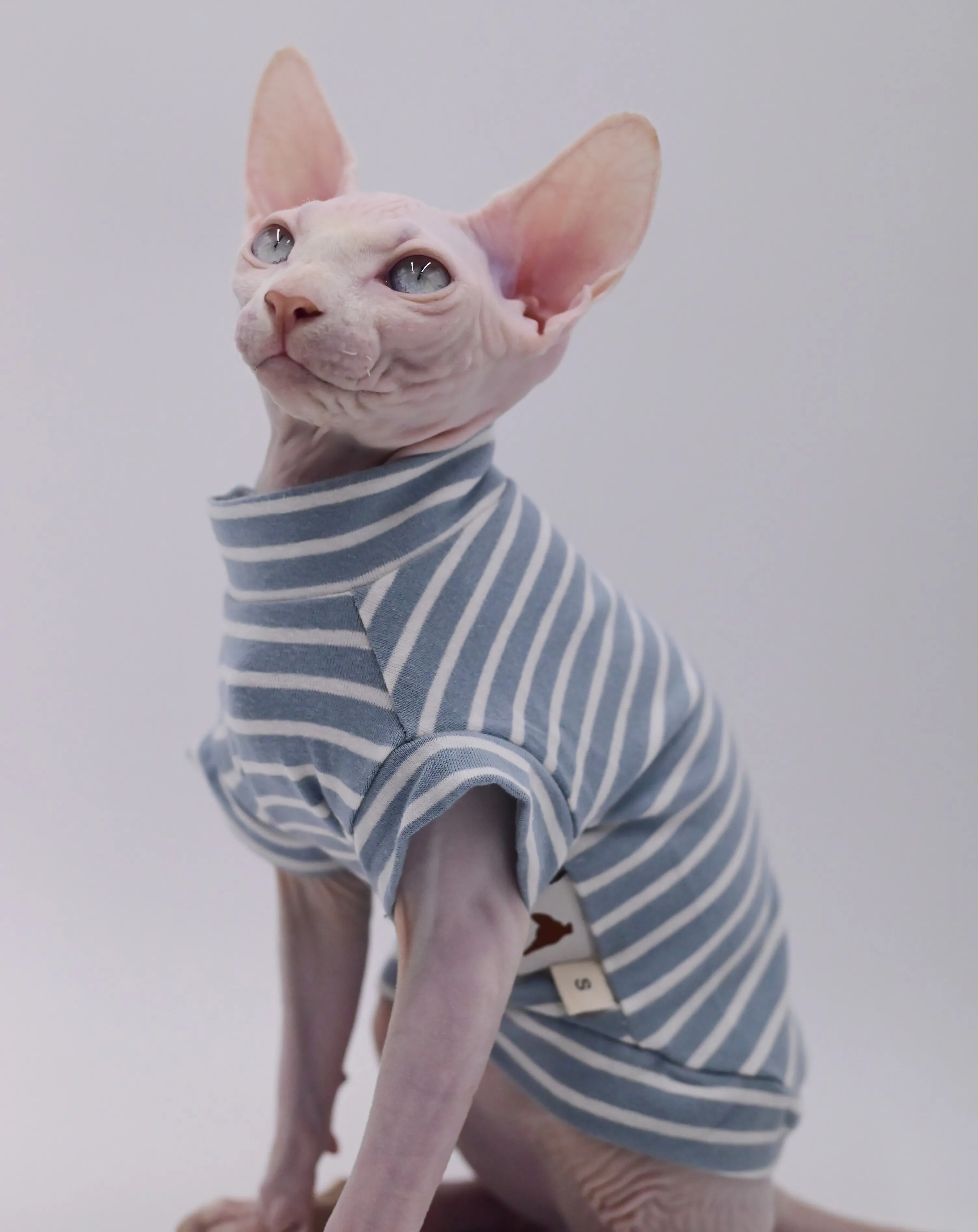 Sphynx Cat Clothes, Summer Cotton, Air Conditioning, Hairless Cats, Devon Rex, Small Cats and Dogs