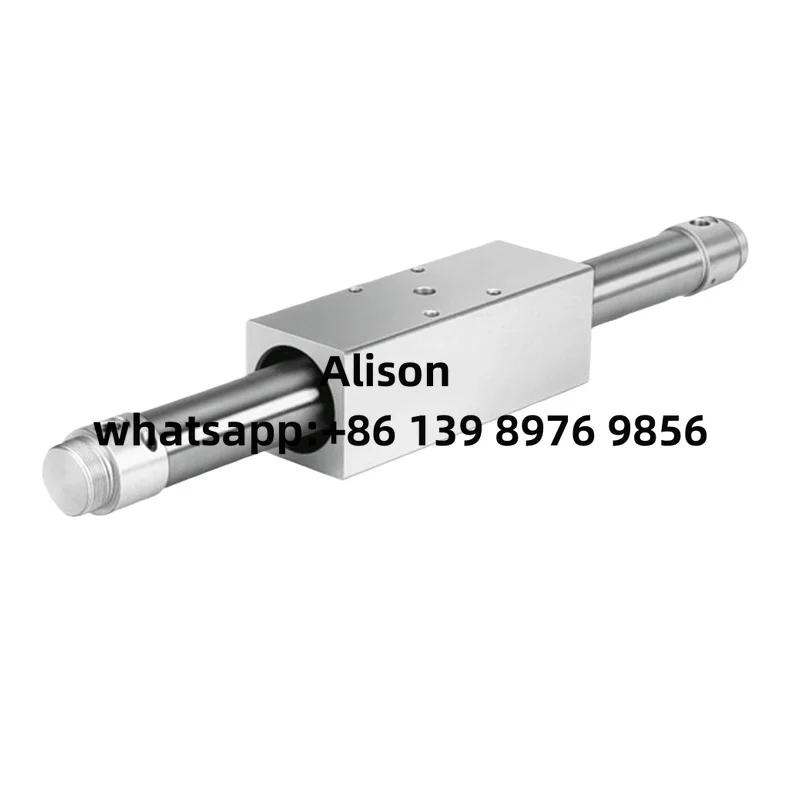 Original Rodless Cylinder DGO-20-100-PPV-A-B DGO-20-200-PPV-A-B DGO-20-300-PPV-A-B DGO-20-400-PPV-A-B DGO-20-500-PPV-A-B DGO-20