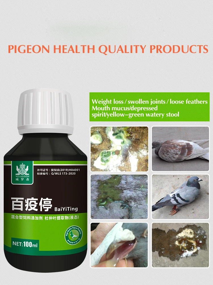 Salmonella Pigeons Use Health Products To Prevent Common Diseases of Pigeons with Diarrhea and Green Stools