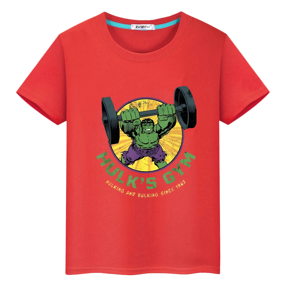 

t shirt for kids boys 10year The Hulk Print 100%Cotton Anime Short y2k one piece Marvel Kawaii pride tshirt kids clothes girls