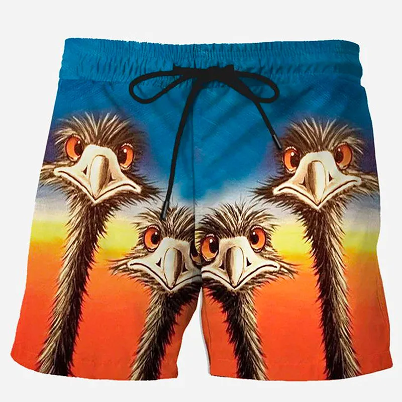 Men's Summer Beach Shorts Style Novel 3D Printed Pattern, Style Loose Fabric Soft Breathable With Elastic Straps