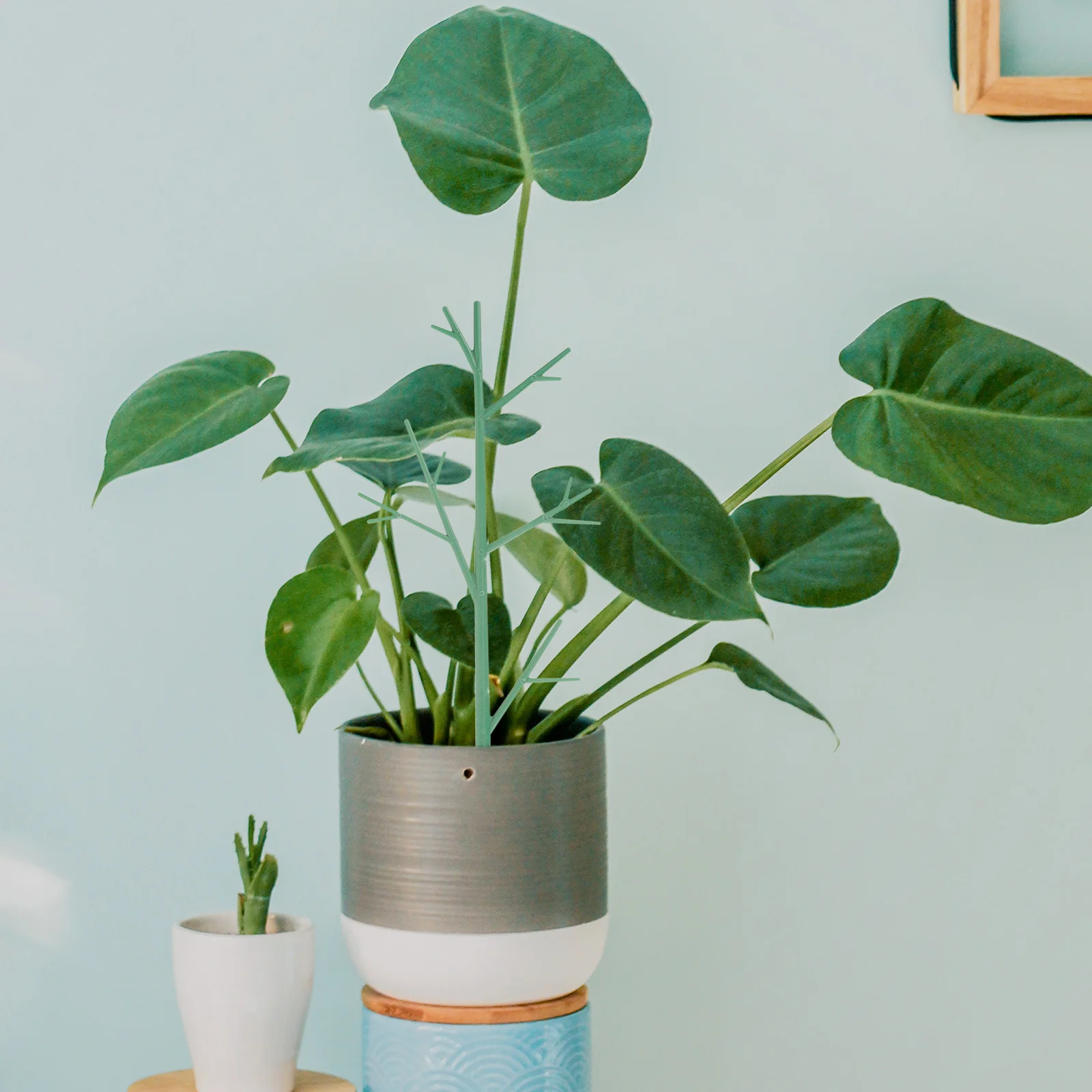 

4pcs Plant Support Sticks Small Trellis for Potted Plants Indoor Garden Climbing Vine Decor Green Plastic Flower Supports