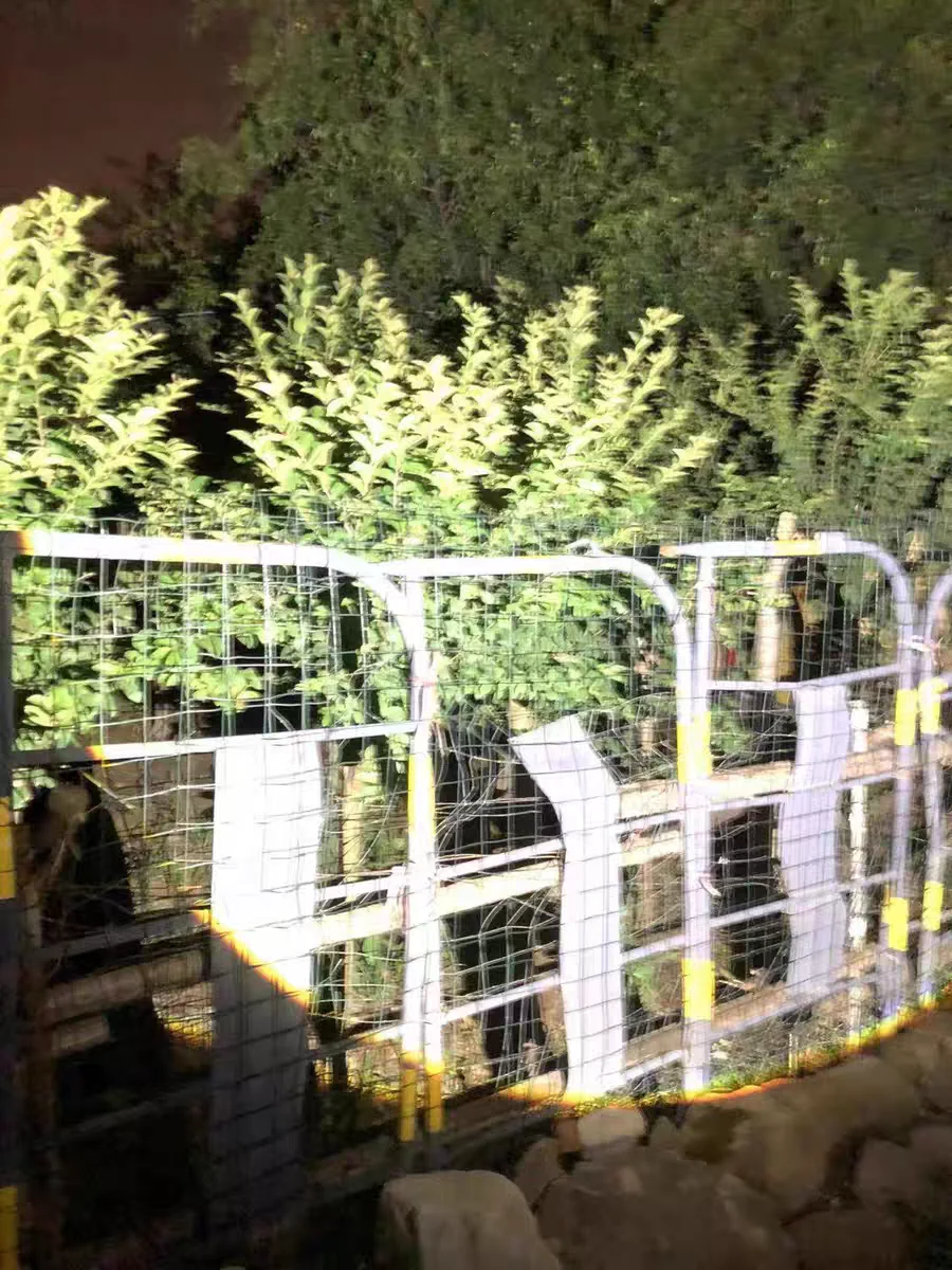 Linterna LED de alta potencia recargable, luz amarilla y blanca, potente linterna táctica, antorcha de larga duración superbrillante, 800W