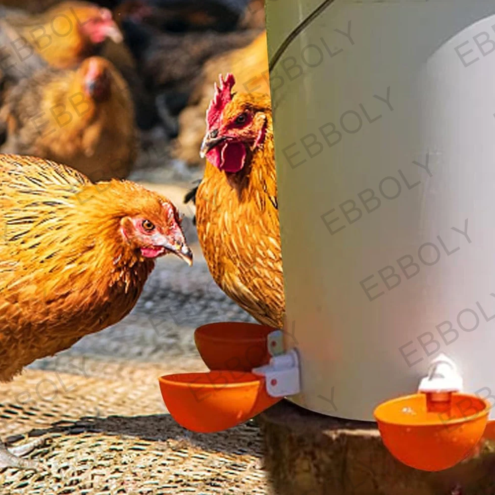 12/20/30PCS Automatic Chicken Water Feeder Drinking Cups Poultry Kit for Chicks Duck Goose Turkey Quail Feeding Watering Supplie