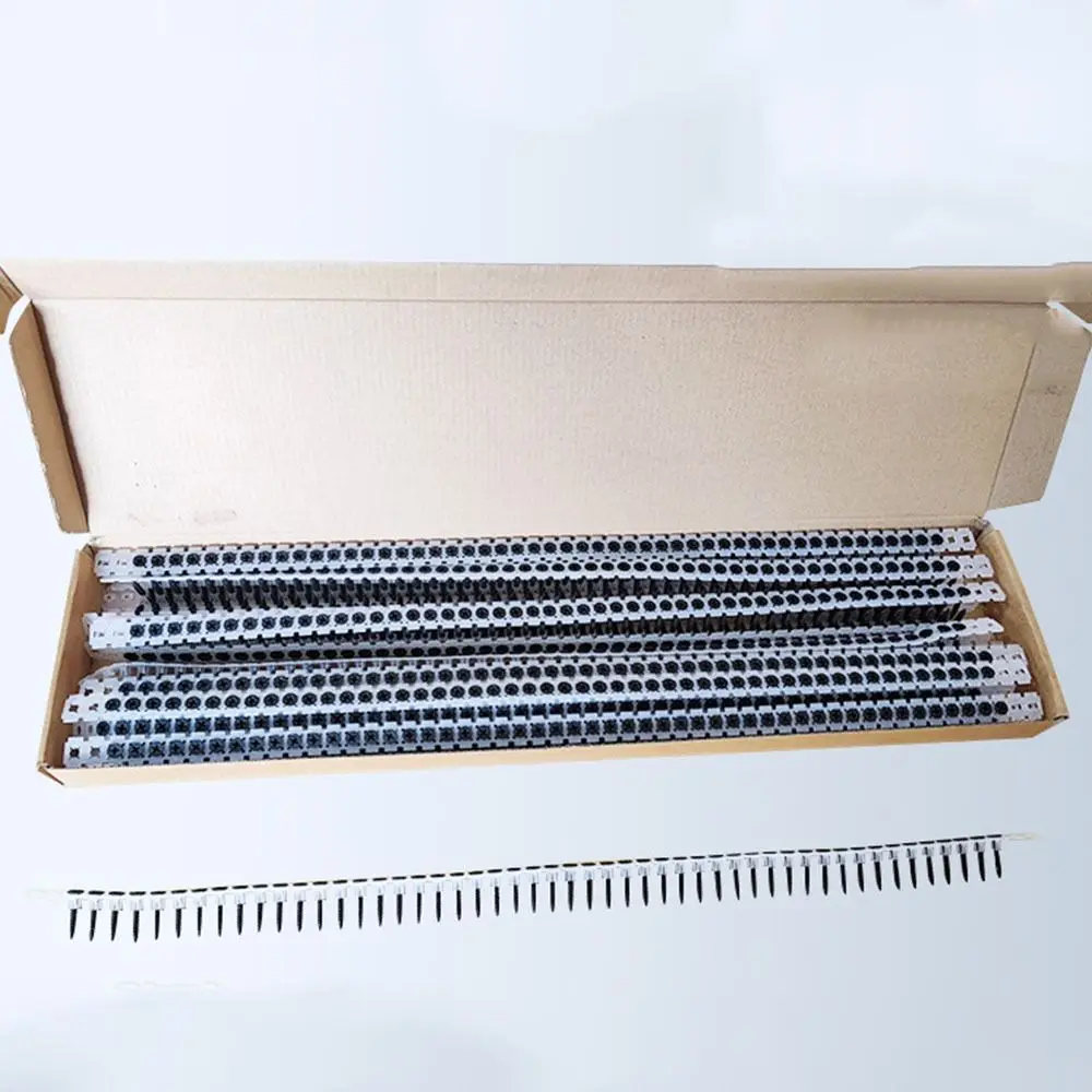 1000Pcs Cross Slot Chain Screws Plastic Strip Strip Screws Wall Screws Durable Woodworking Screwdriver Tape for Electric Drill