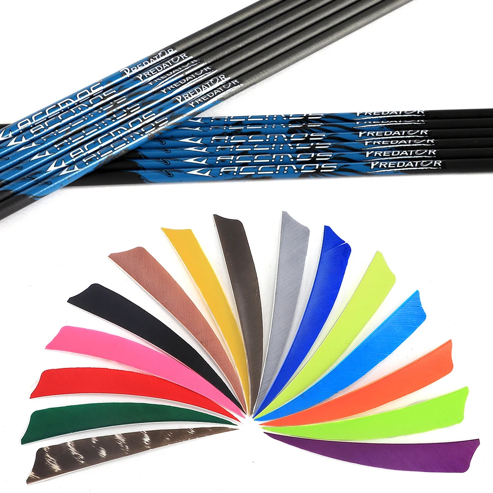 6/12pcs Archery Pure Carbon Arrow ID6.2mm Spine 250/800 Shaft 32inch for Bow Hunting Shooting Training