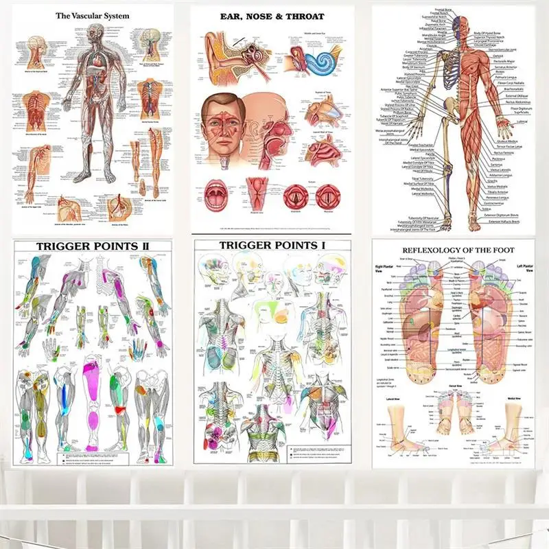 Anatomy Trigger Points Chart  Educational School Poster Human Body Science Canvas Art for Medical Classroom Decor