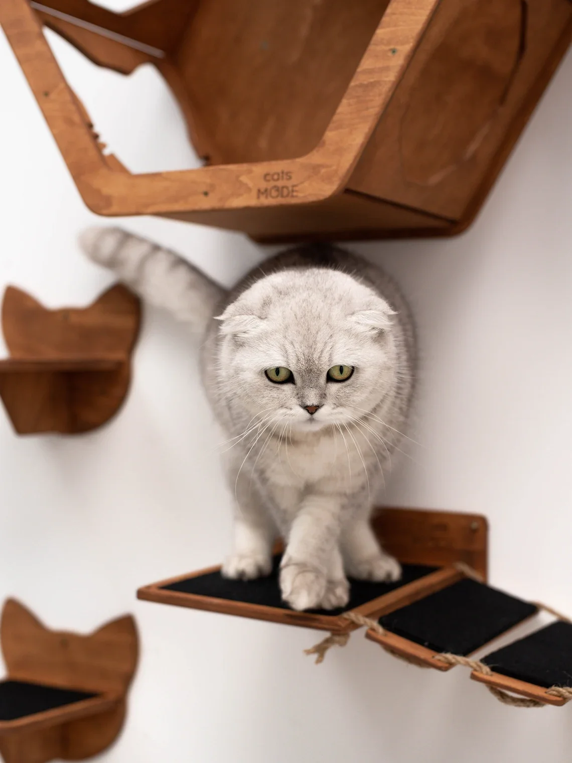 Estante de escalada colgante de pared para gatos, plataforma de salto para gatos, muebles para tienda de mascotas, escalera de escalada de pared, estante de madera para interiores