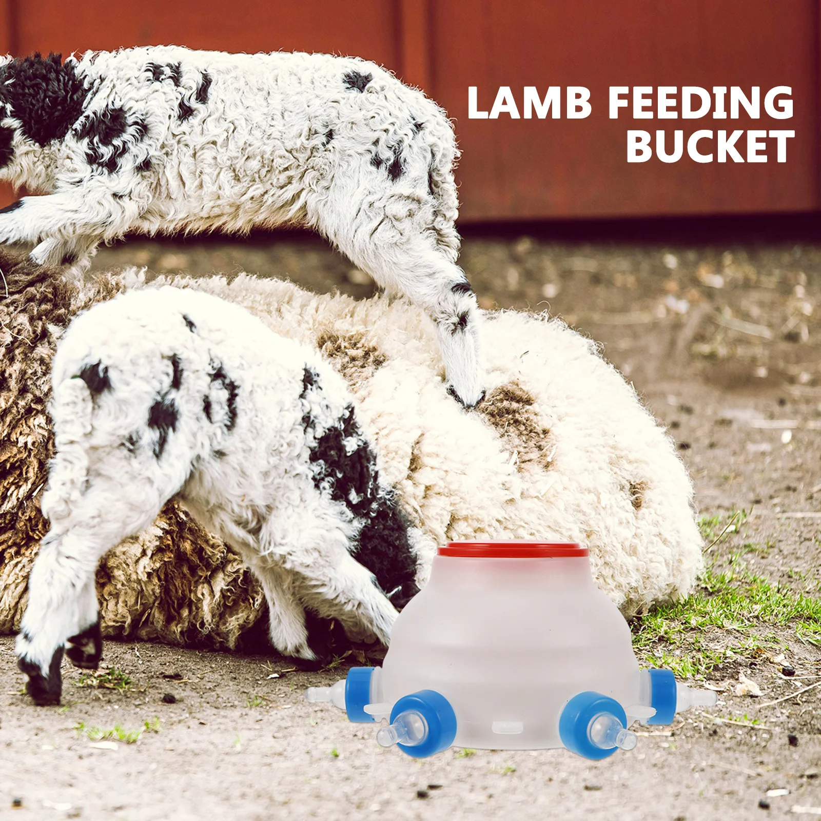 

Livestock Feeding Bottle Nursing Calf Goat Lamb Milk Feeder Hanging Animal Nursing Use Jars with Lids