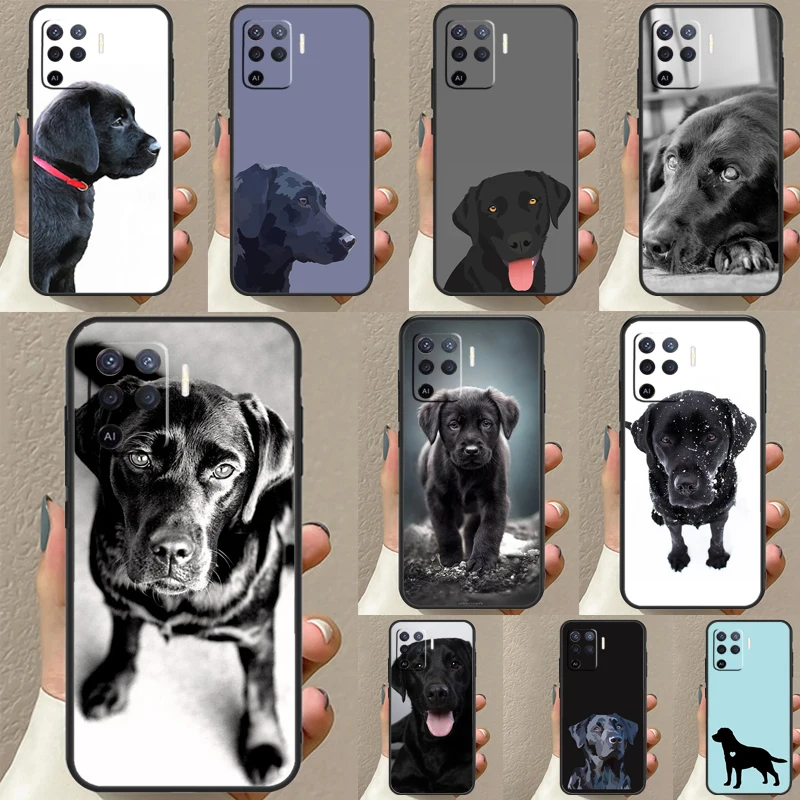 Black Labrador Dog … - image