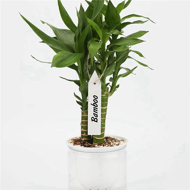 

ABWZ-600 Pcs Plastic Plant Nursery Garden Labels Garden Stake Tags White 10X2cm