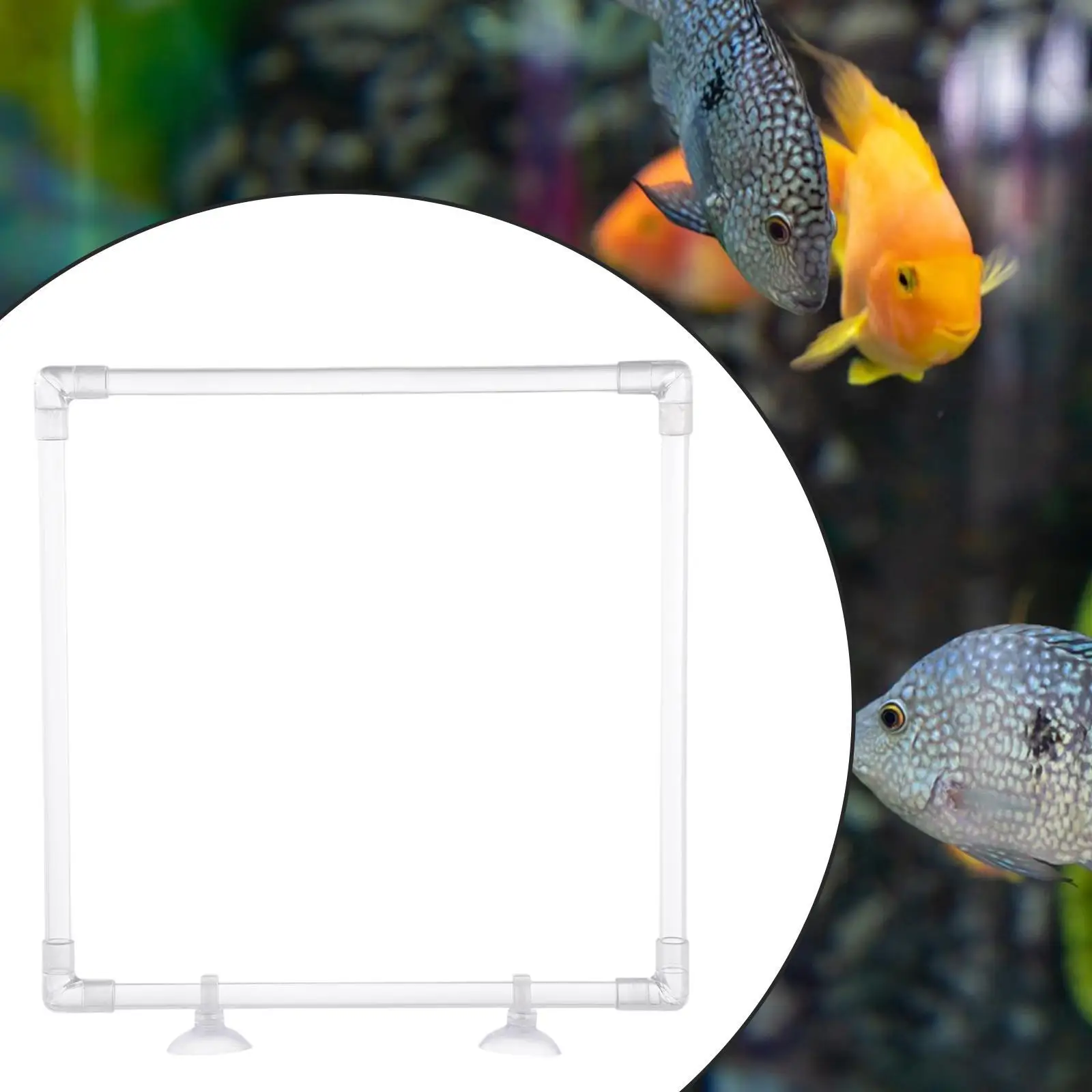 Aquarium Floating Plant Barrier Corral Floating Plant Ring Fish Tank Pond Accessories Lawn Fish Feeding Ring Easy to Install