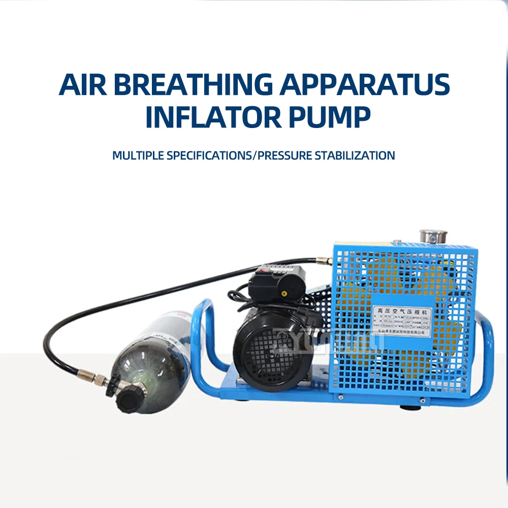 High Pressure Air Pump Submersible inflatable pump Electric Air Compressor oxygen cylinder Inflator Air Pump