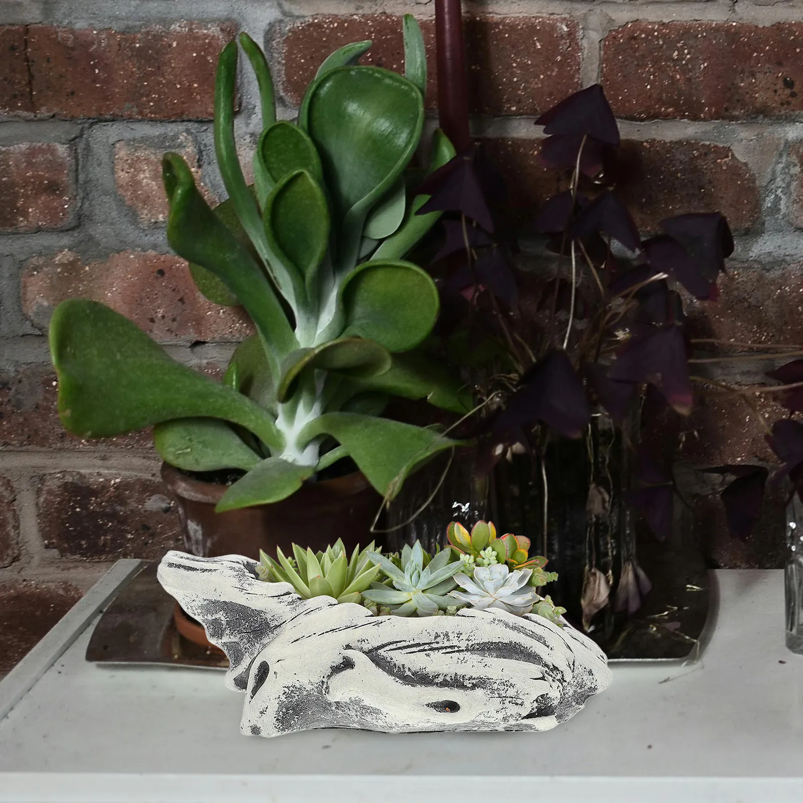 Handmade Cement Succulent Flowerpot Unique Artistic Shallow Planter Bowl for Indoor Decor Table Centerpiece Small Cute Bonsai