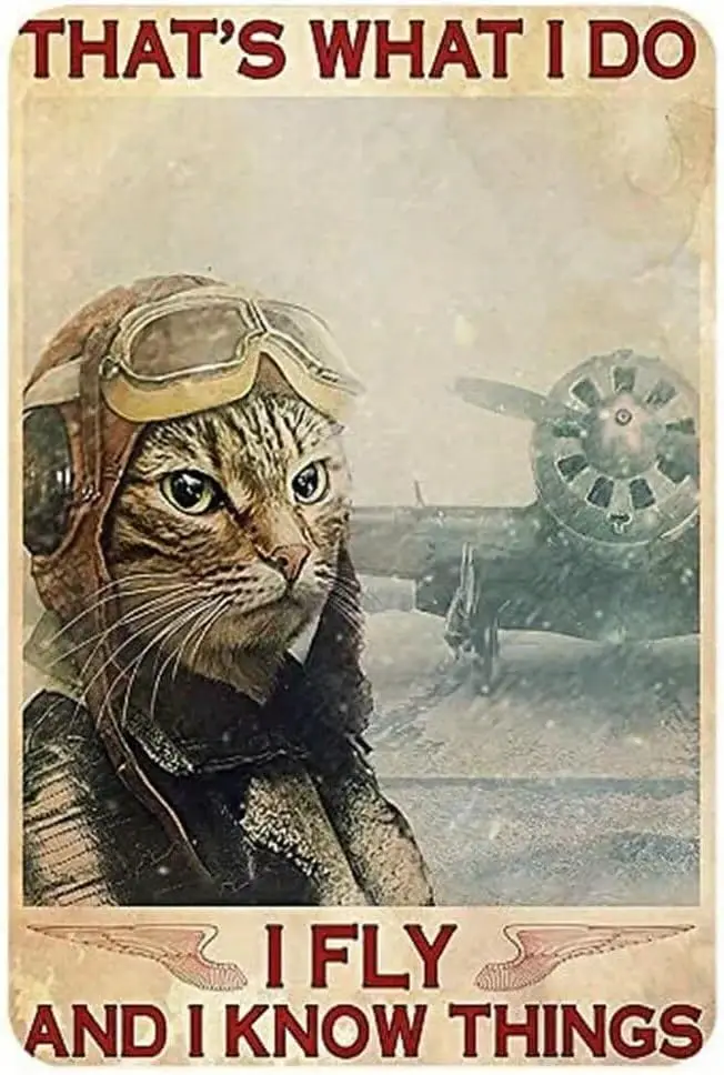 Vintage Cat That'S What I Doi Fly And I Know Things Aluminium Metal Tin Sign 8x12 Inch Home Poster Bar Pub Decor sign