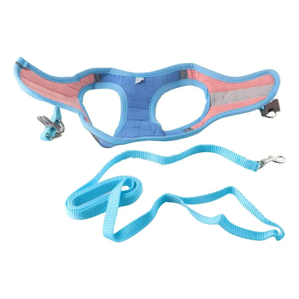 Thumbnail 4 - #12 Latest Puppy Harnesses Updates