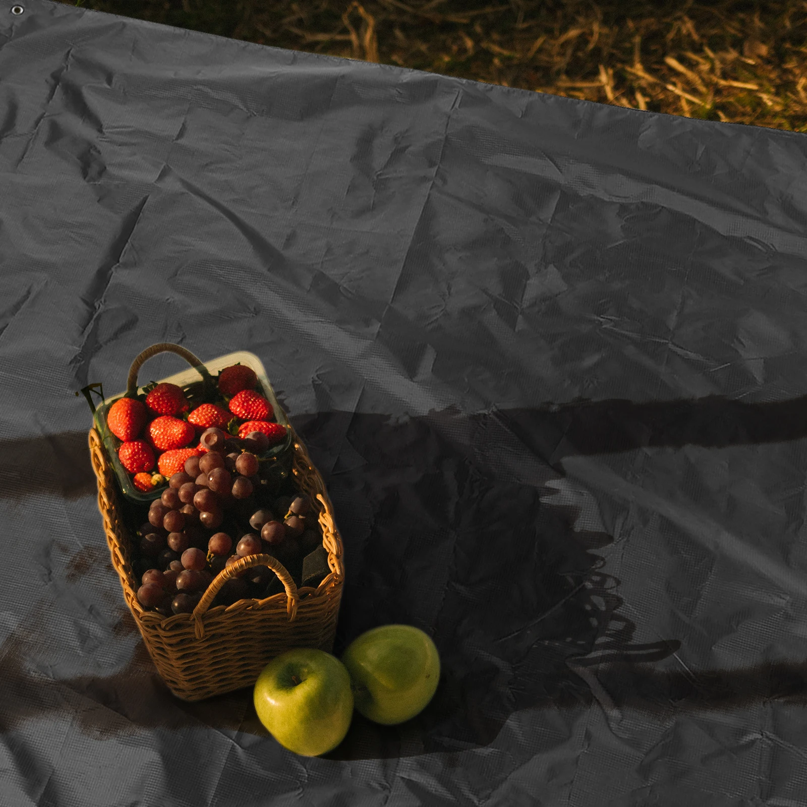 

Large Foldable Waterproof Ground Mat for Outdoor Picnic Camping Beach Portable Lightweight Rug with Carry Strap Multipurpose