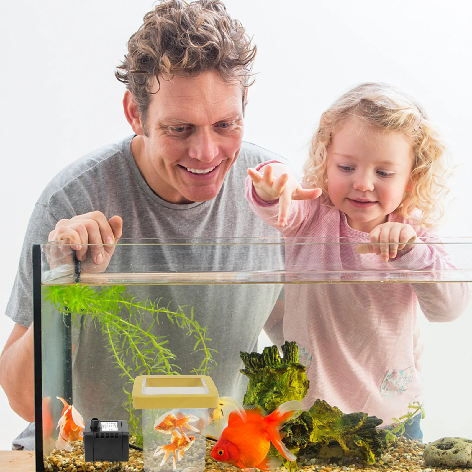 어항용 물고기 번식 상자 3개 세트: 투명한 이중층 구 - Aquarium Fish Betta 리뷰 및 가격