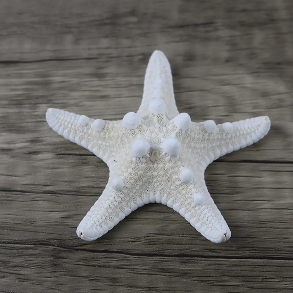 9Pcs Natural Overlord Stars Coastal Style Decorative Crafts Perfect for Home Table Garden Beach Decorations Natural Overlord