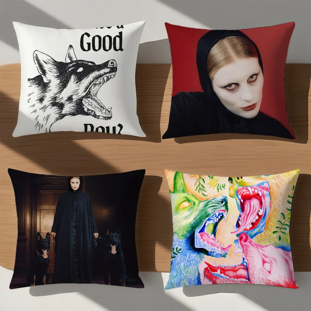 

Певец p-Paris p-Paloma Good Boy наволочка удобная мягкая наволочка для дивана гостиная домашний декор защитные чехлы