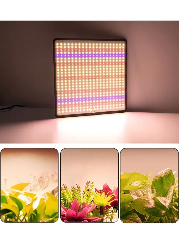 Imagem -06 - Crescer Tendas Floração Placa Quântica Led Samsung Crescer Luz Espectro Completo Lâmpada para Plantas Luz de Crescimento Interior 1200w