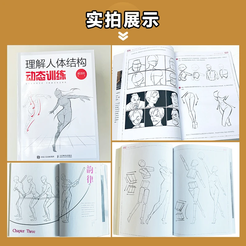 Understanding The Human Body Structure Drawing Basics Dynamic Training Perspective Principles Drawing The Human Body Structure