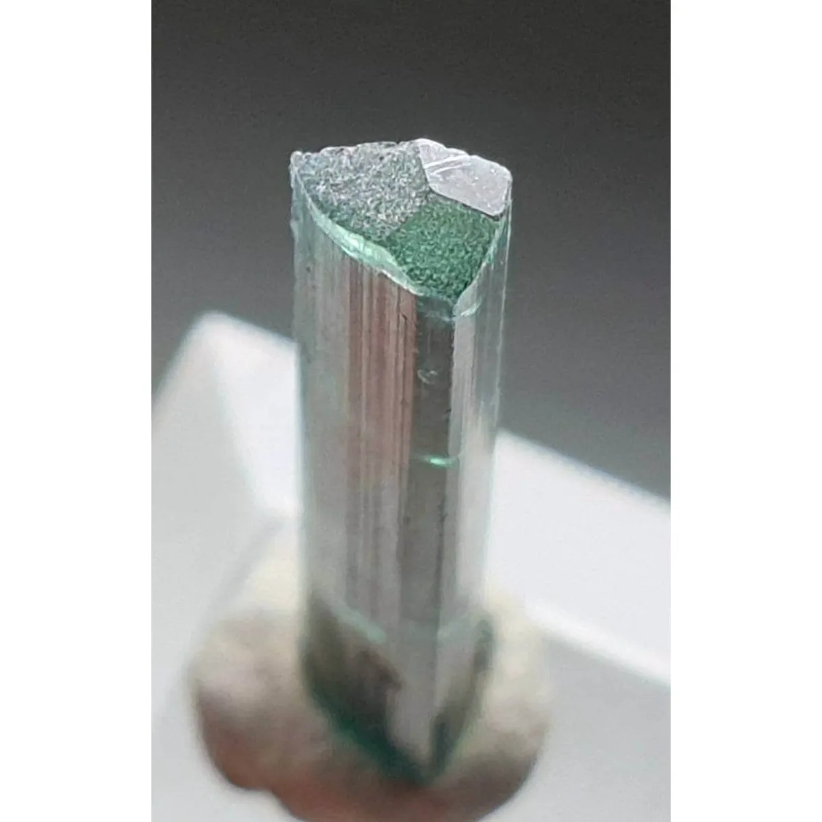 Brazilian Elbaite Mineral Stones, 10g 5-15mm Natural Mix, Specimen Box for Shelf Decor & Educational Specimens