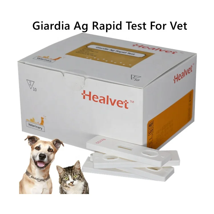 Vet Diagnostic 99% Specificity Cheap Price Veterinary Pet Use Giardia Ag Rapid Test Kit for Dogs