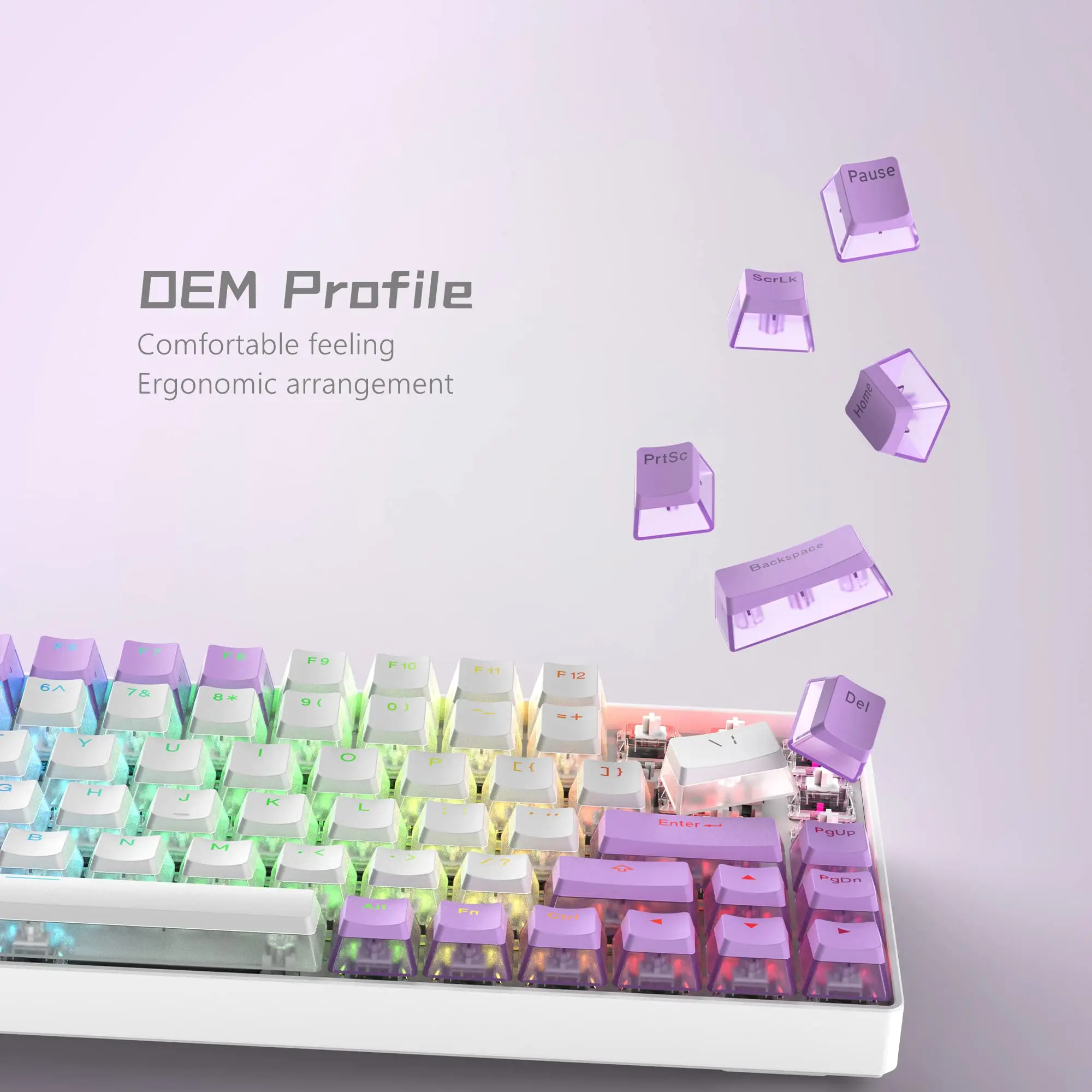 165 Key Pudding PBT Keycaps Full Set Purple OEM Profile Double Shot Japaness Keycap for 100% Anne Pro 2 Mechanical Keyboard