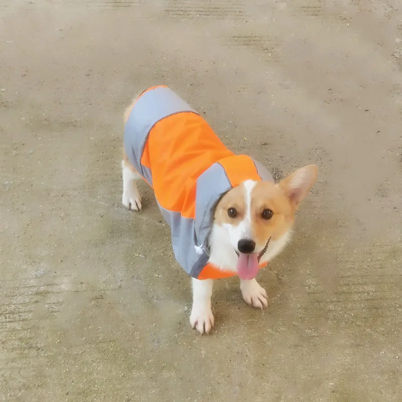 Summer New Dog Colored Raincoat Outdoor Two Legged Waterproof and Dustproof Pet Raincoat Large Medium Dog Corgi Cool Pet Apparel