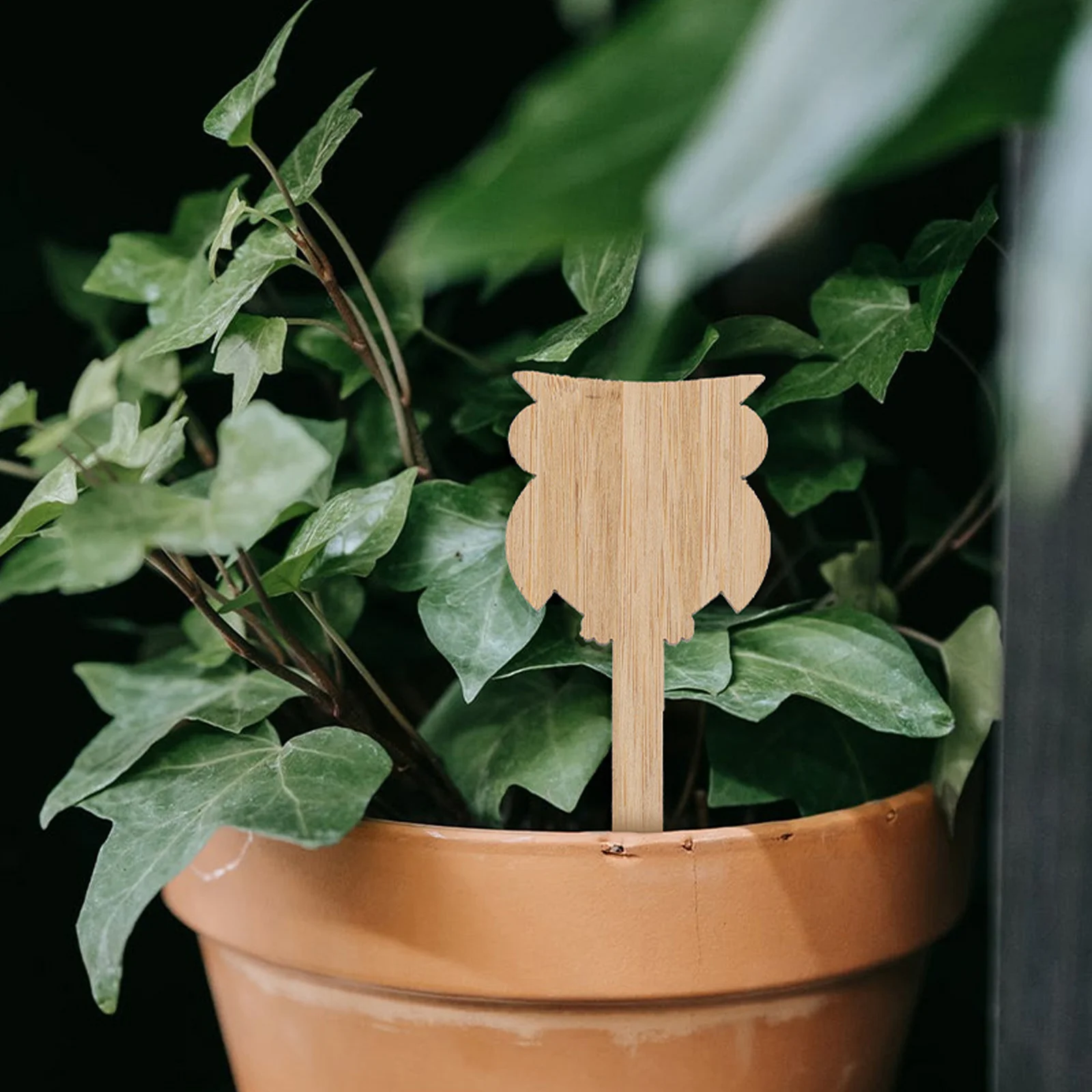 

60pcs Bamboo Plant Labels Garden Markers Classification Signs Eco Friendly Safe Decorations Flower Bed Pot Planter